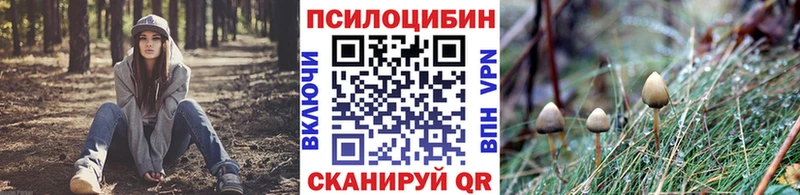 где купить наркоту  Сусуман  Галлюциногенные грибы мицелий 
